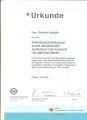 Sicherheitsingenieur Anpassung VBG Sicherheitsingenieur Anpassung VBG